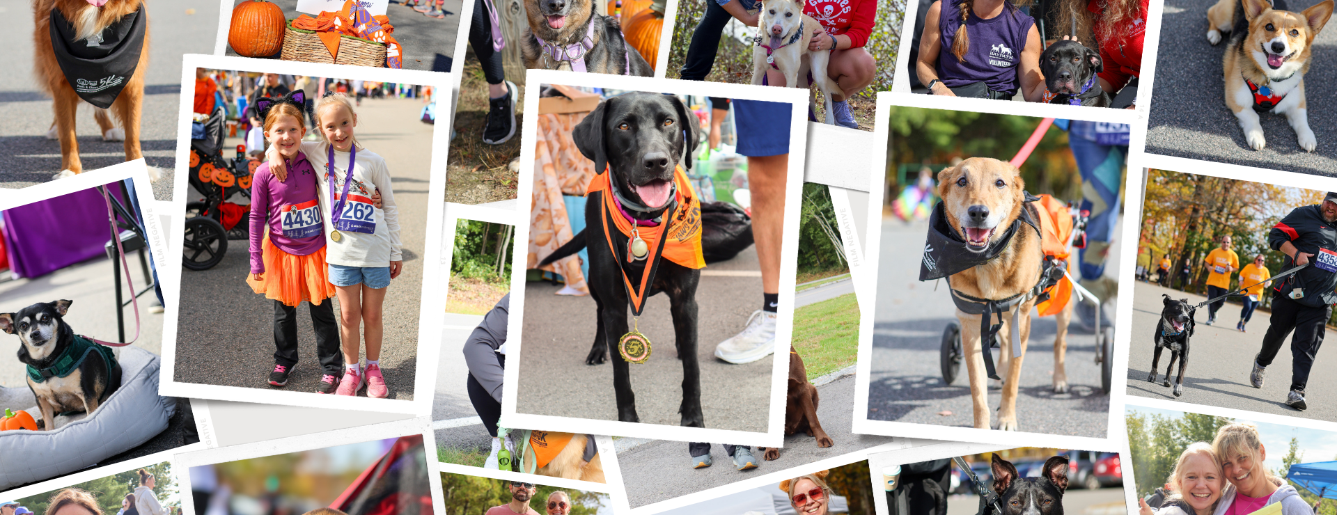 17th Annual Paws & Claws 5K