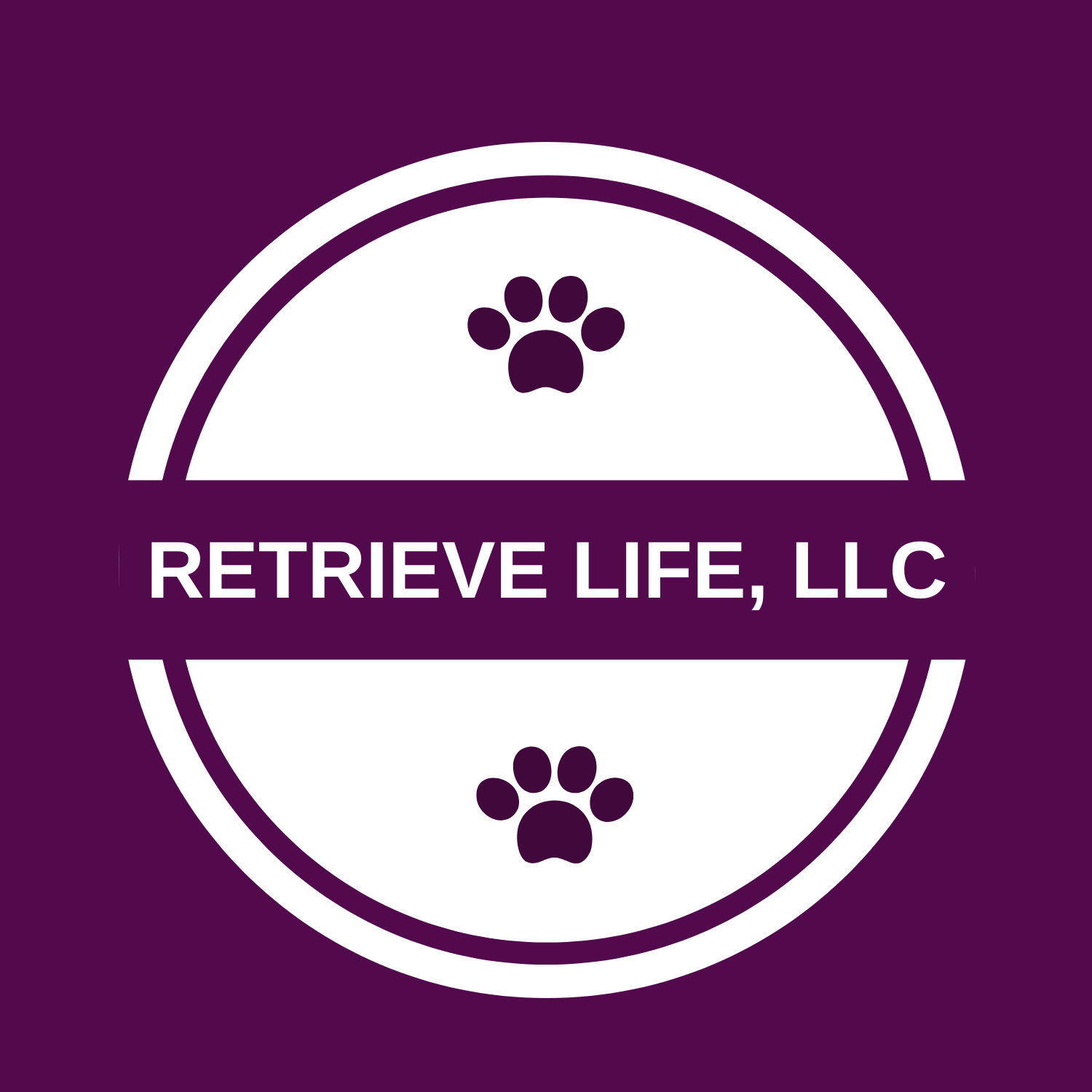 Retrieve Life, LLC logo.png